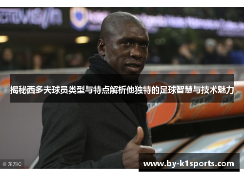 揭秘西多夫球员类型与特点解析他独特的足球智慧与技术魅力