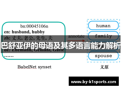 巴舒亚伊的母语及其多语言能力解析