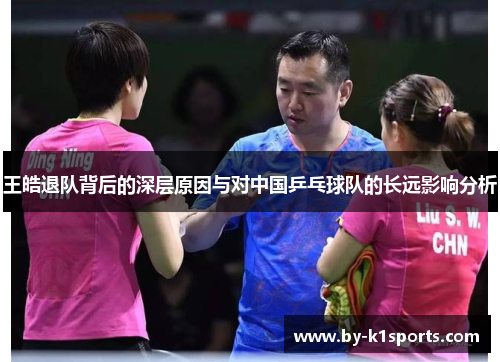 王皓退队背后的深层原因与对中国乒乓球队的长远影响分析